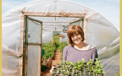 Faire ses courses et trouver les bons produits près de chez soi