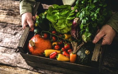 Manger moins de viande… et si on variait nos assiettes