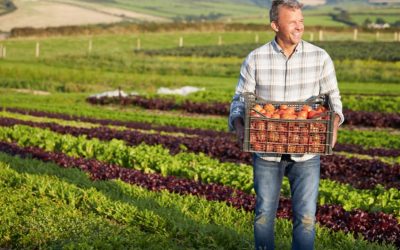 Faire ses courses et trouver les bons produits près de chez soi
