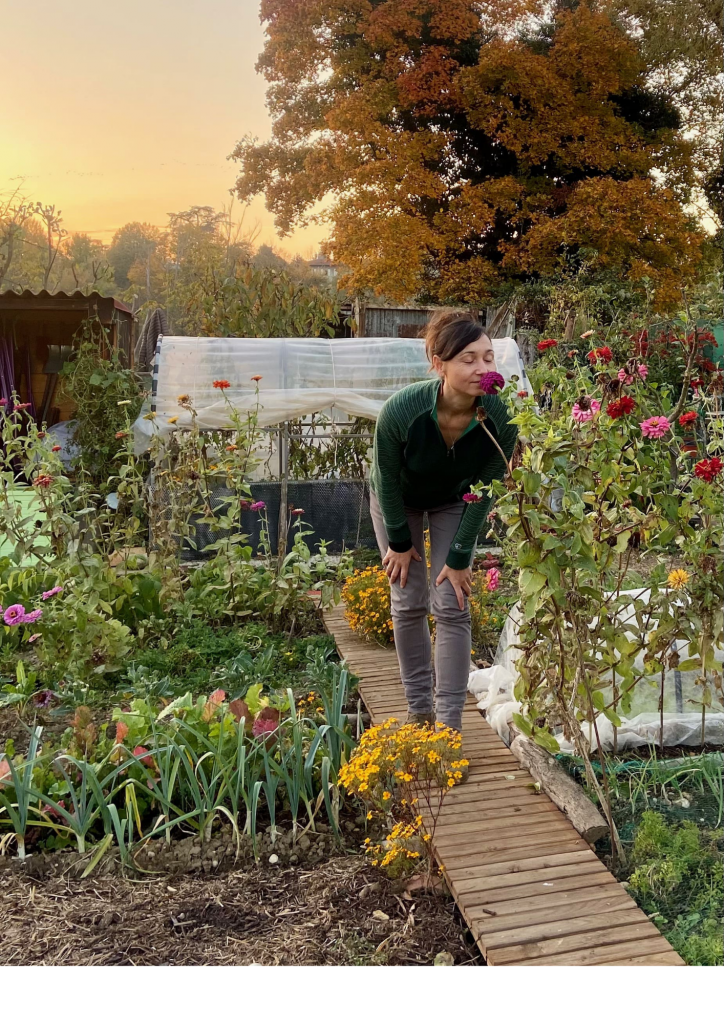 veronique-simplemange-jardin-fleurs-1