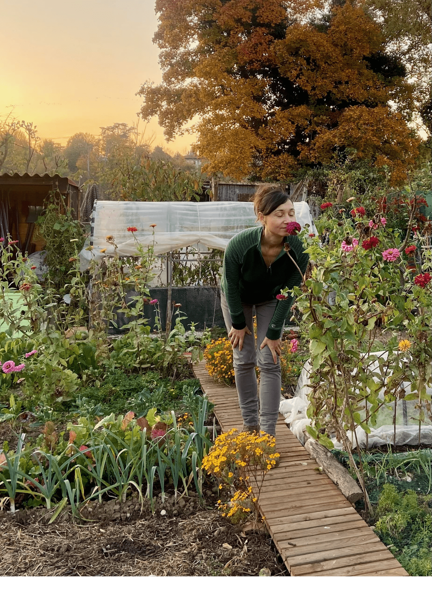 véronique-simplemange-jardin-fleurs