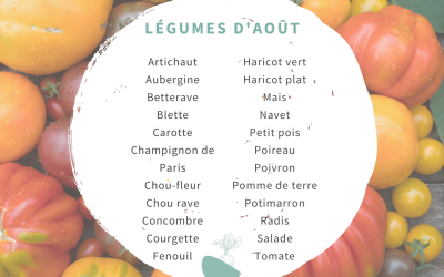Calendrier des fruits et légumes de saison en août