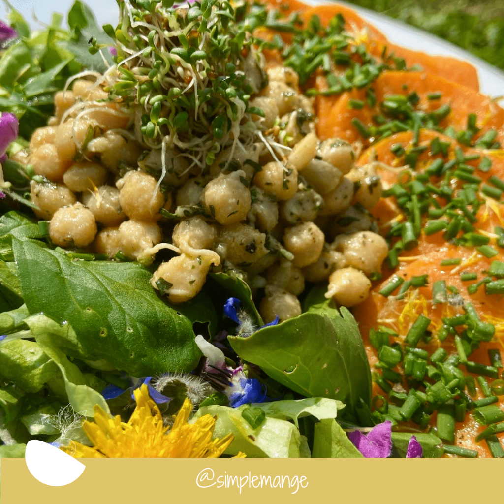 recette-sans-viande-carences