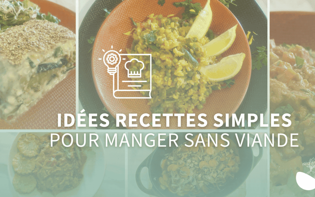 30 idées de recettes simples et rapides pour manger sans viande (sans carence en protéines)