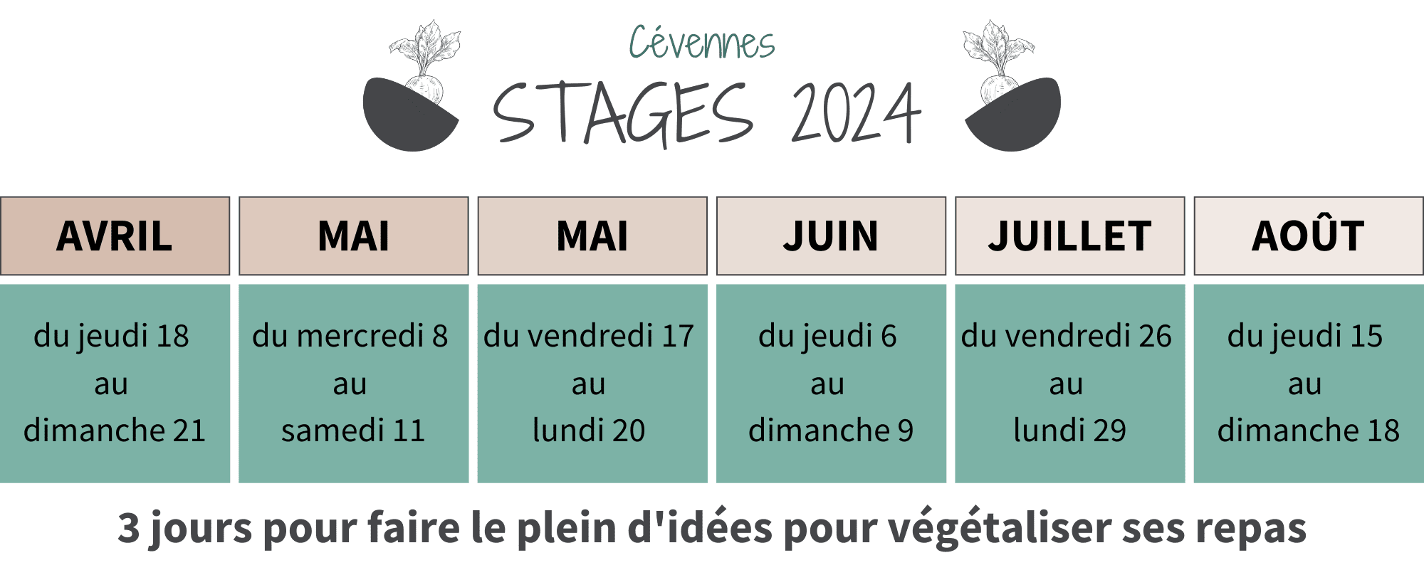 planning stages cuisine 2024