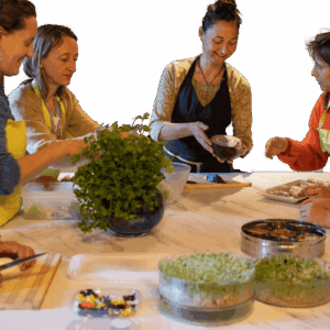 Journée cuisine vivante